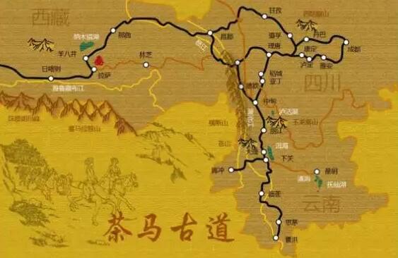 点击打开原图